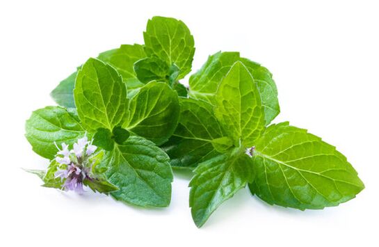 Feuilles de menthe dans le spray Nicode