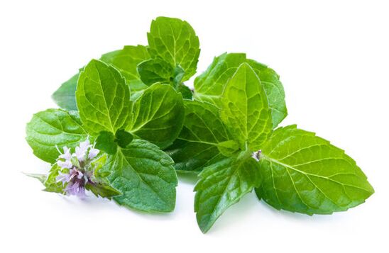Feuilles de menthe dans un spray Nicode