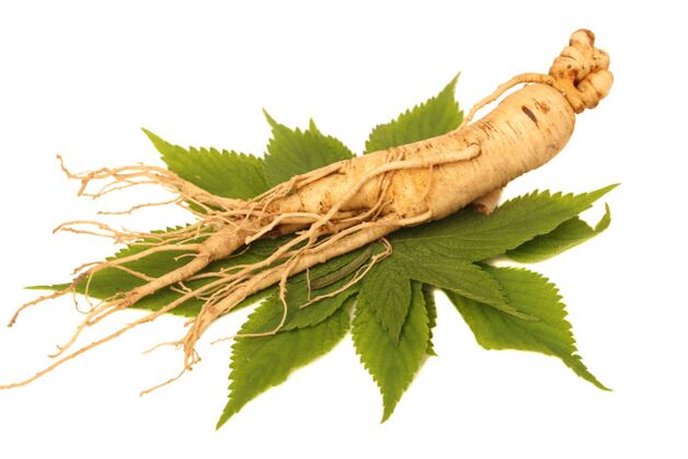Root de ginseng dans l'aérosol zxcvbnmqwert