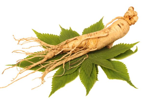 Root de ginseng sur Spray Nicode